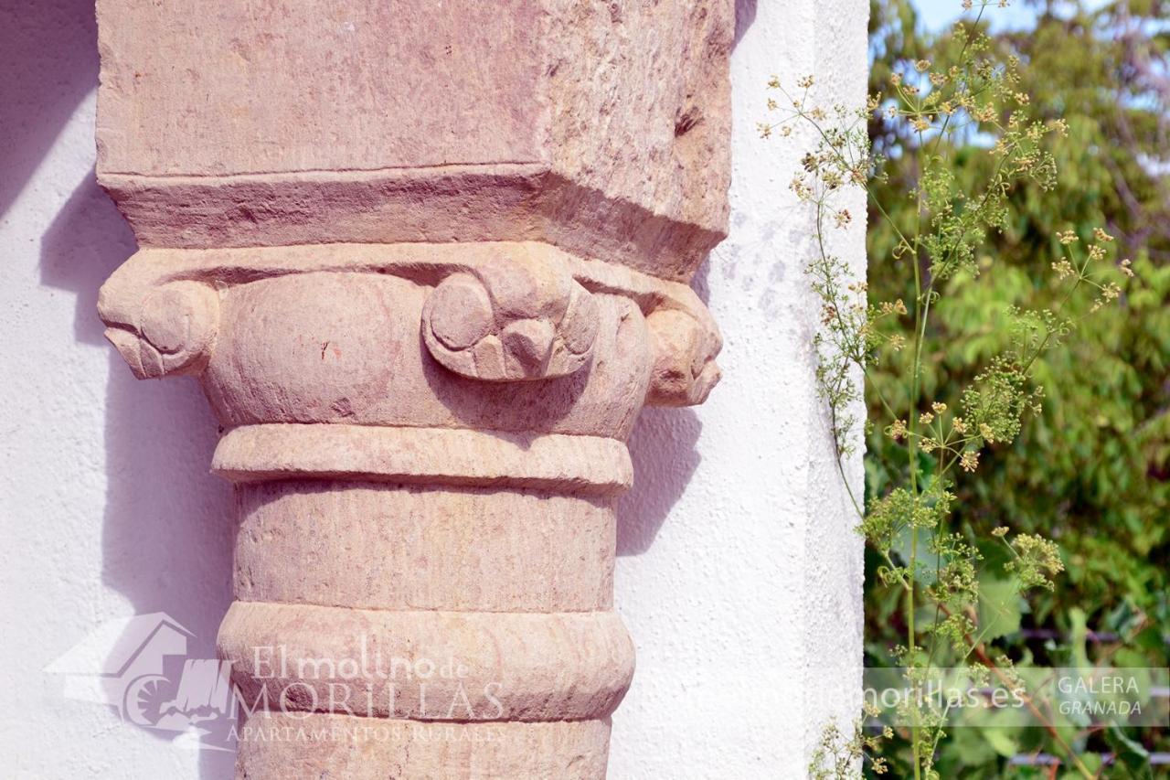 Apartamentos Rurales El Molino De Morillas Galera エクステリア 写真