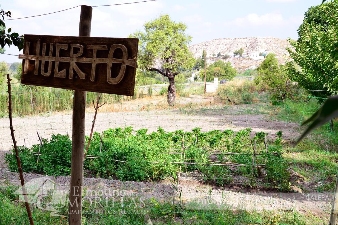 Apartamentos Rurales El Molino De Morillas Galera エクステリア 写真